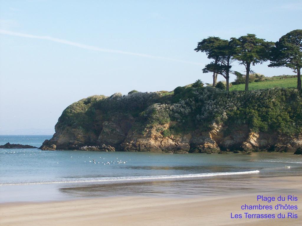 Les Terrasses Du Ris Bed & Breakfast Douarnenez Bagian luar foto