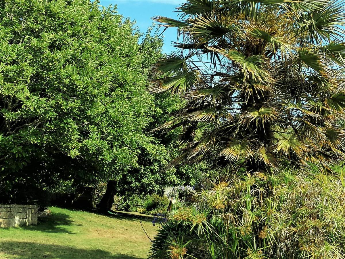 Les Terrasses Du Ris Bed & Breakfast Douarnenez Bagian luar foto